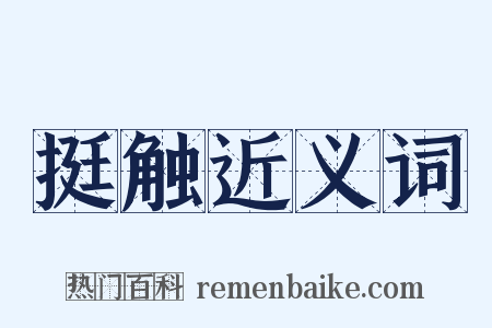 挺触近义词是什么意思的图片
